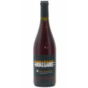 Domaine J-B. Sénat  "Amalgame" rouge 2019 bouteille