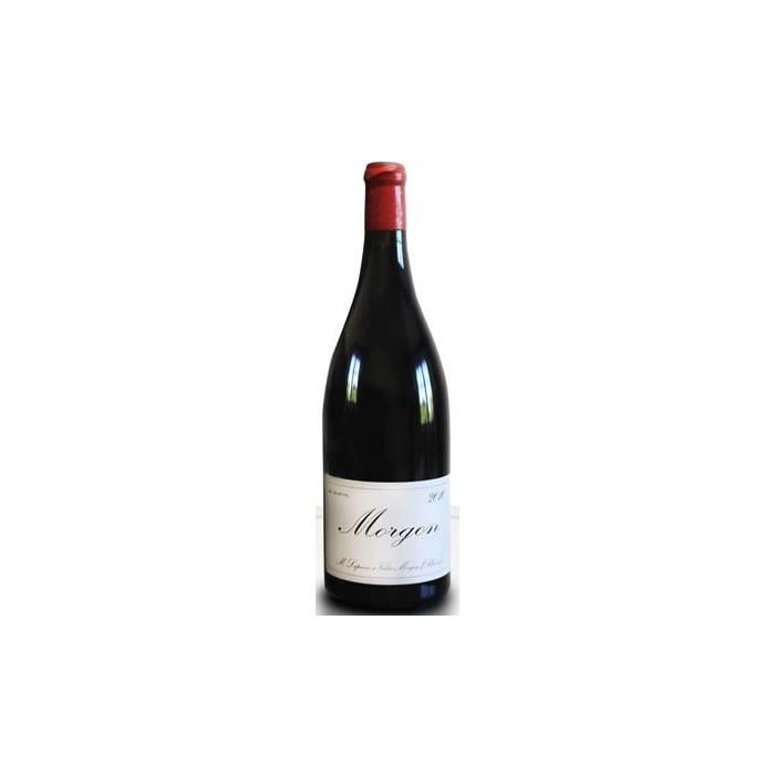 Domaine Marcel Lapierre Morgon "Classique" rouge 2019 bouteille