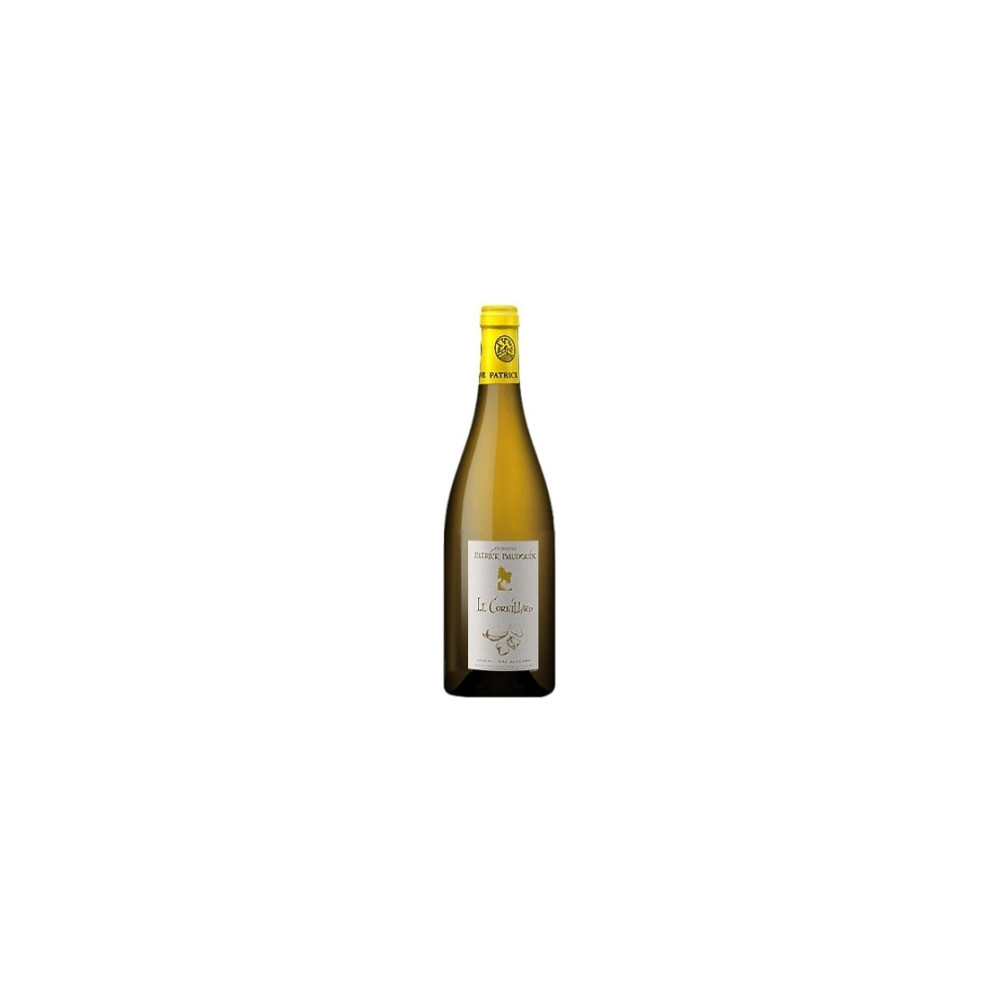 Domaine Patrick Baudouin Le Cornillard 2017 bouteille