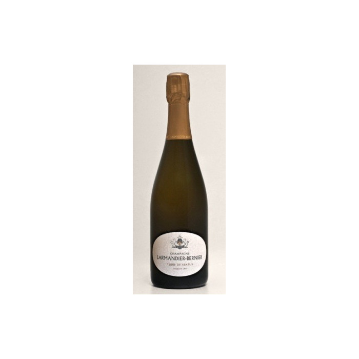 Champagne Larmandier-Bernier "Terre de Vertus" 1er cru Blanc de Blancs Non Dosé 2013 bouteille