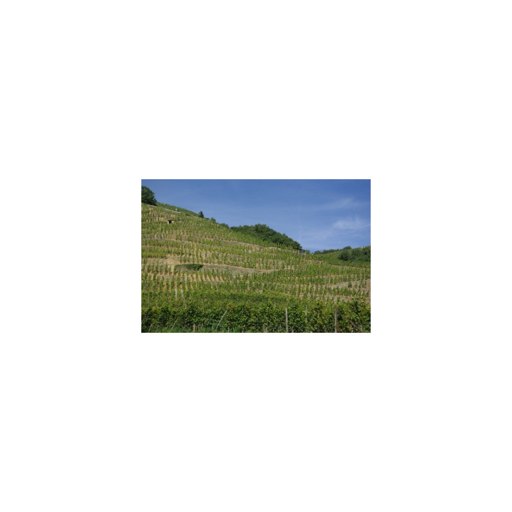 Domaine Georges Vernay Côte-Rôtie "Maison Rouge" red 2018