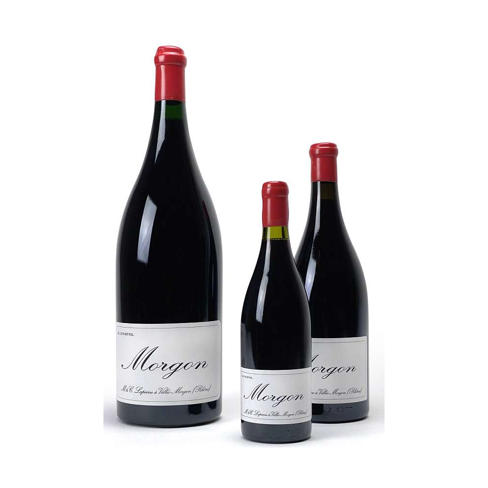 Domaine Marcel Lapierre Morgon Classique rouge 2019 bouteille Domaine Marcel Lapierre Morgon Classique rouge 2019 bouteille