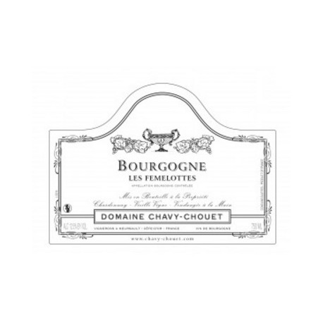 Domaine Chavy-Chouet Bourgogne "Les Femelottes" (Chardonnay) dry white 2019