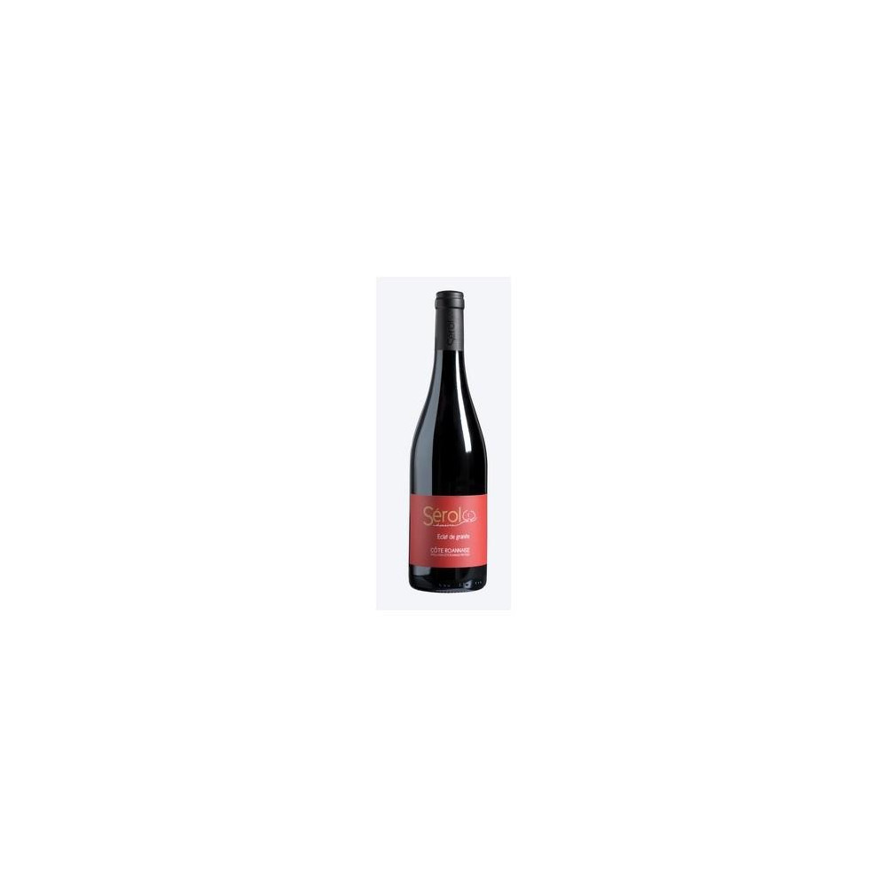 Domaine Sérol Côte Roannaise "Eclat de granite" rouge 2019 bouteille