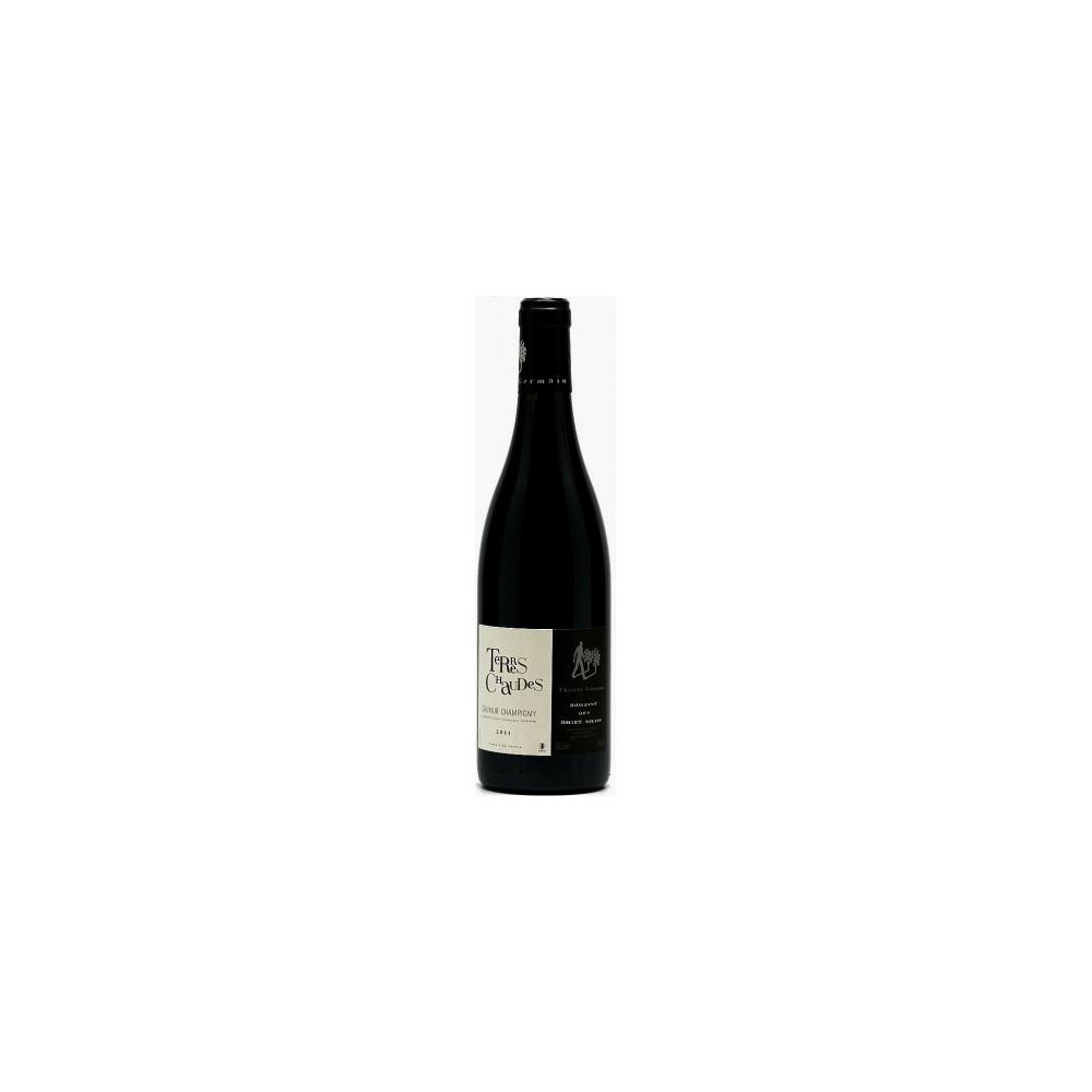 Domaine des Roches Neuves Saumur-Champigny "Terres Chaudes" red 2013