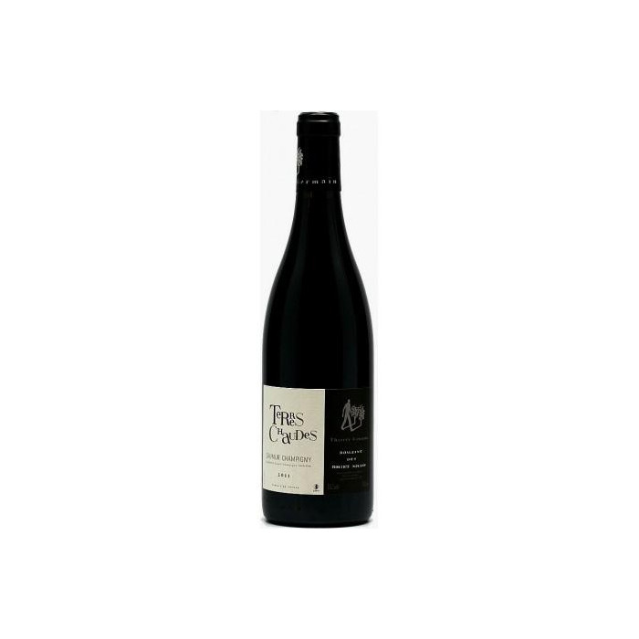 Domaine des Roches Neuves Saumur-Champigny "Terres Chaudes" red 2013