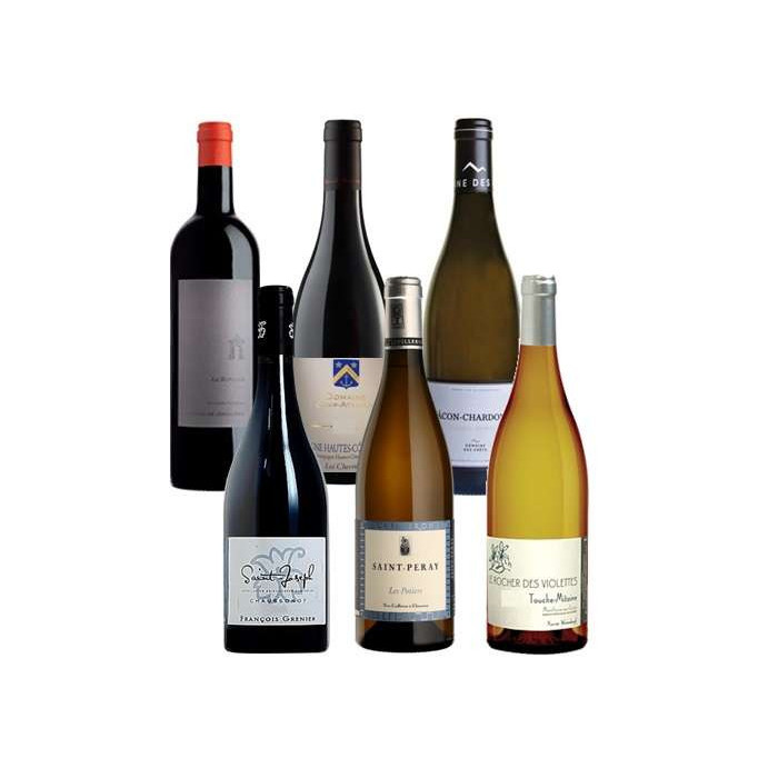 Discover Red and White Wines