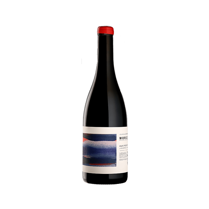 Domaine Louis-Claude Desvignes Morgon Javernières "Aux Pierres" rouge 2020 bouteille