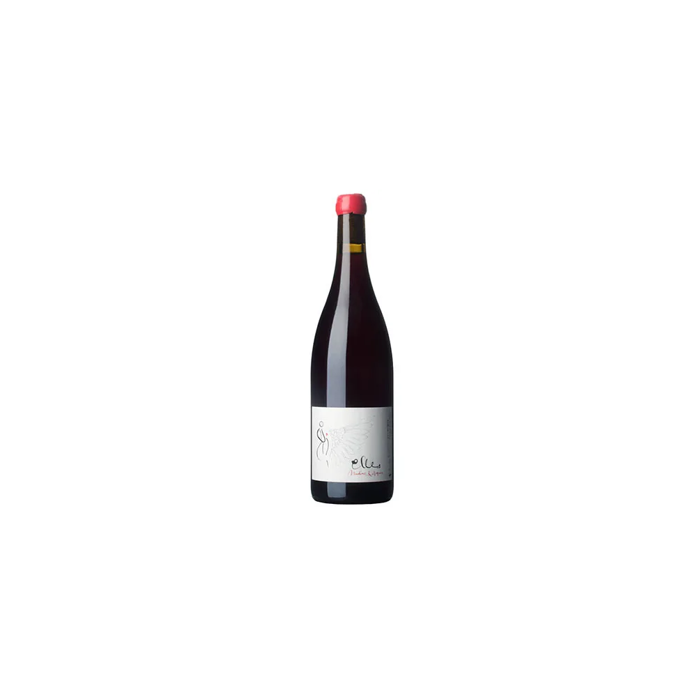 Domaine Jean Foillard Morgon "Elles" red 2018