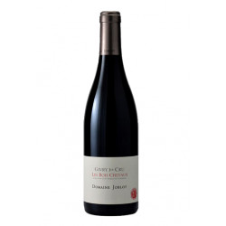 Domaine Joblot Givry 1er Cru "Servoisine" rouge 2020 bouteille