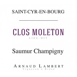 Domaine Arnaud Lambert Saumur Champigny "Clos Moleton" rouge 2018 etiquette