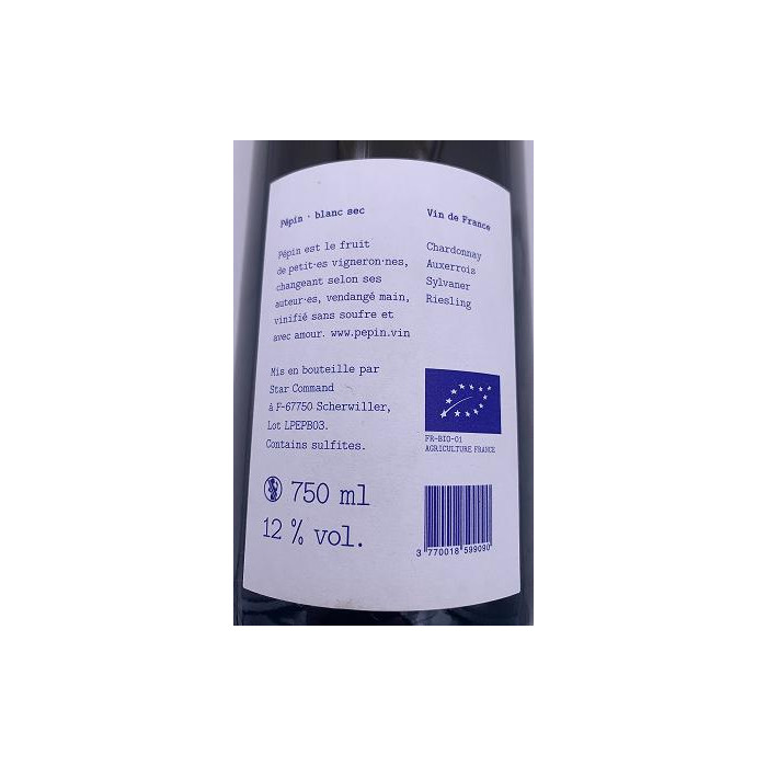 Achillée "Pépin" blanc sec