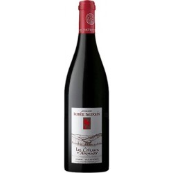 Domaine Patrick Baudouin Les Coteaux d'Ardenay red 2017 2
