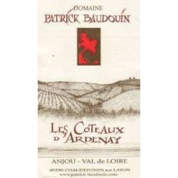 Domaine Patrick Baudouin Les Coteaux d'Ardenay red 2017
