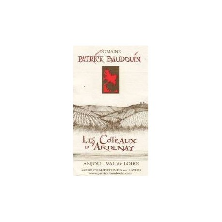 Domaine Patrick Baudouin Les Coteaux d'Ardenay red 2017