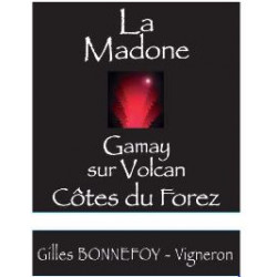 Les Vins de la Madone Cotes du Forez "gamay sur volcan" red 2021