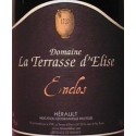 Domaine La Terrasse d'Elise Enclos 2020 étiquette