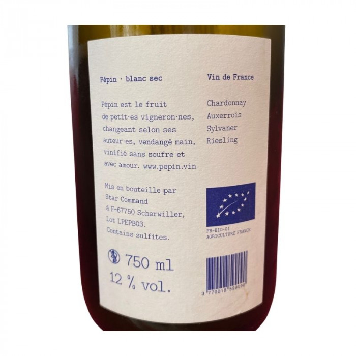 Achillée "Pépin" blanc sec