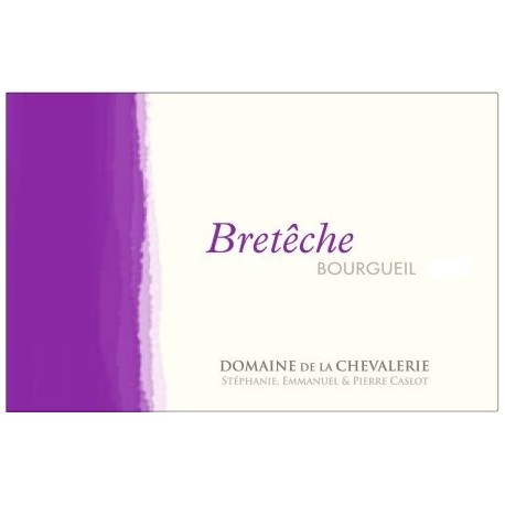 Domaine de La Chevalerie Bourgueil "Breteche" red 2008