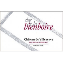 Château de Villeneuve Saumur-Champigny "Clos de la Bienboire" rouge 2021 bouteille