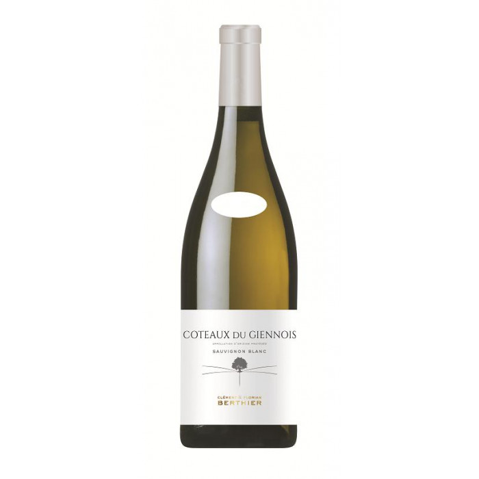 Domaine Berthier Coteaux du Giennois blanc sec 2021 bouteille