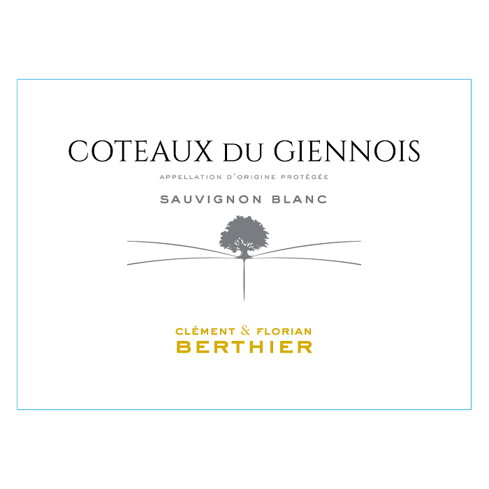 Domaine Berthier Coteaux du Giennois blanc sec 2021 etiquette