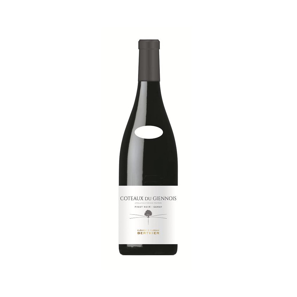 Domaine Berthier Coteaux du Giennois rouge 2020 bouteille