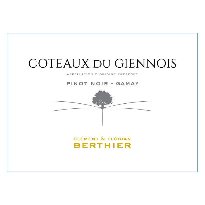 Domaine Berthier Coteaux du Giennois rouge 2020 etiquette