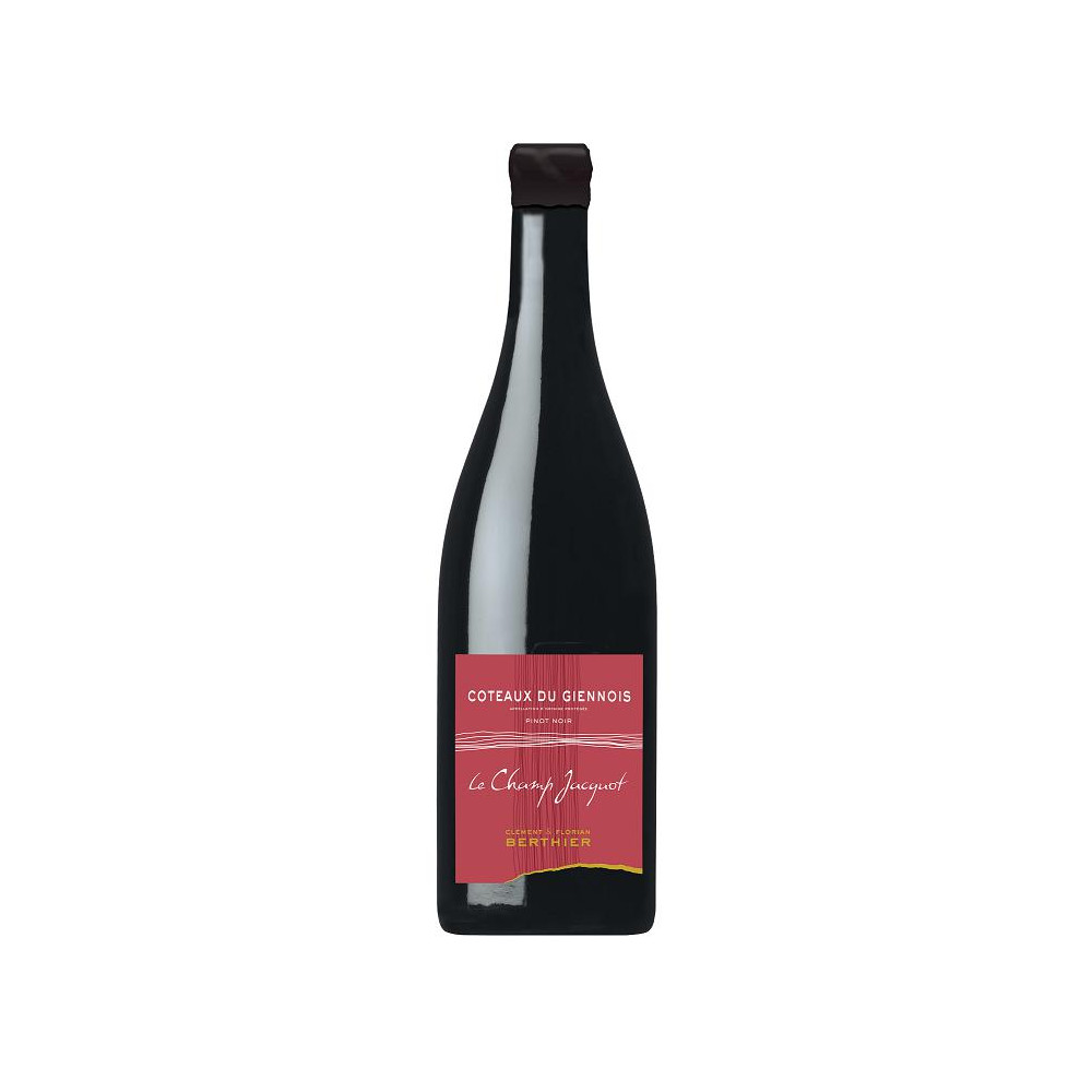 Domaine Berthier Coteaux du Giennois "Le Champs Jacquot" rouge 2019 bouteille