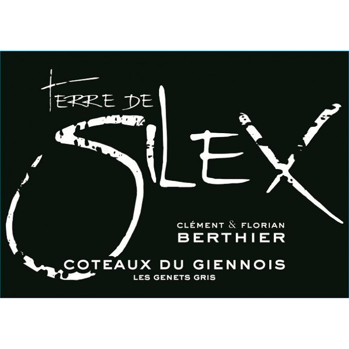 TERRE DE SILEX Coteaux du Giennois Blanc 2020 etiquette