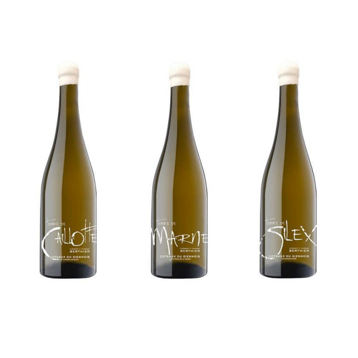 Domaine Berthier panaché Coteaux du Giennois "3 terroirs" dry white 2020