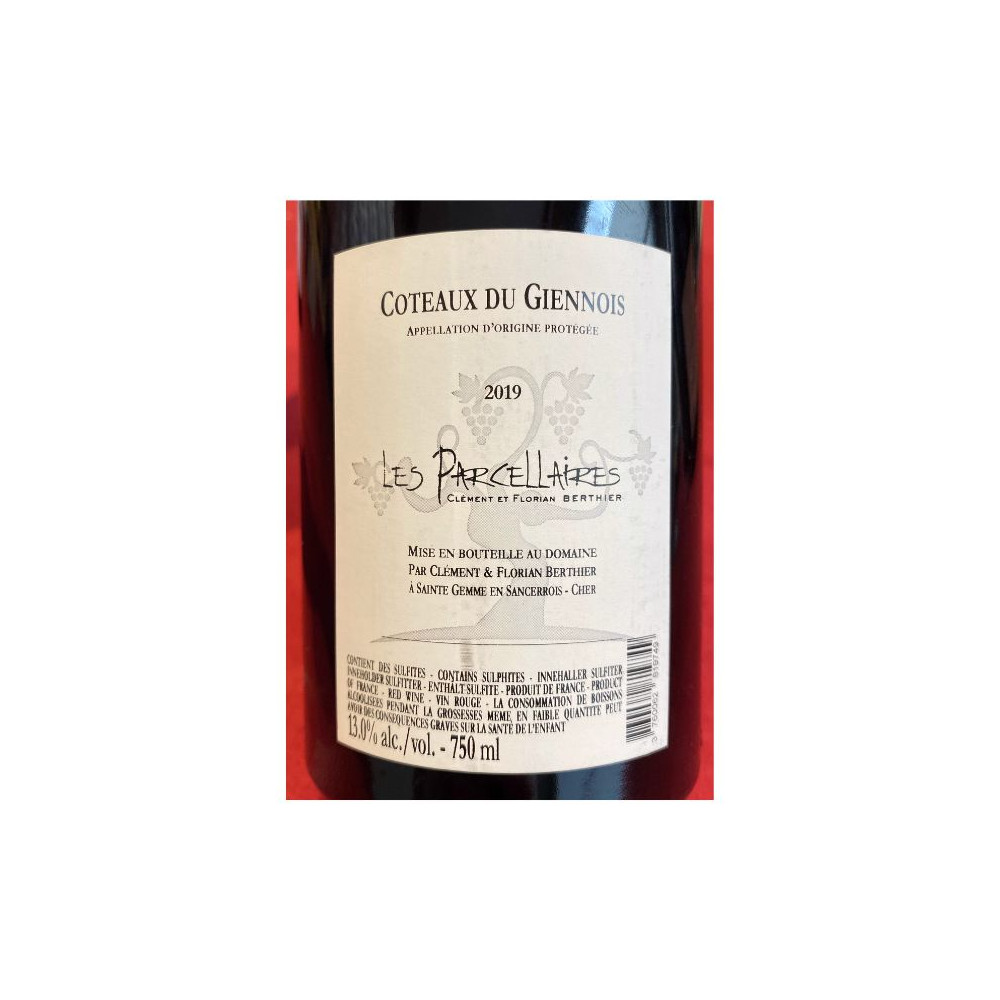 Domaine Berthier Coteaux du Giennois "Le Champs Jacquot" red 2019