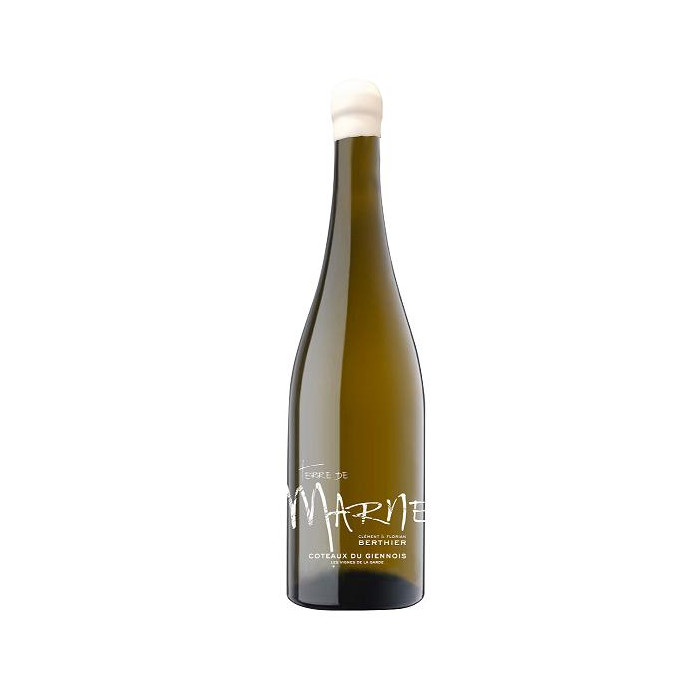 Domaine Berthier Coteaux du Giennois "Terre de Marne" dry white 2020