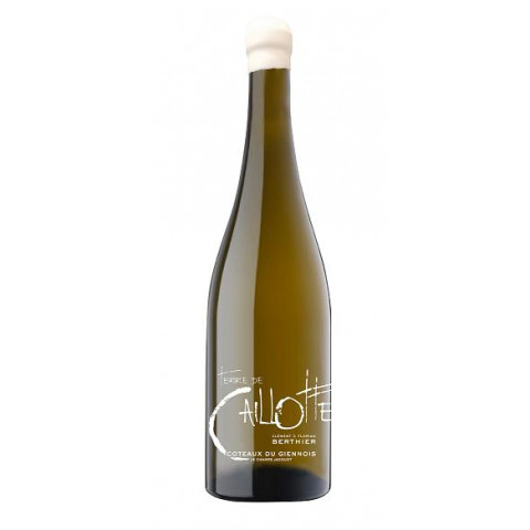 TERRE DE CAILLOTTE Coteaux du Giennois Blanc 2020 bouteille