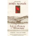 Domaine Patrick Baudouin Les Coteaux d'Ardenay red 2011