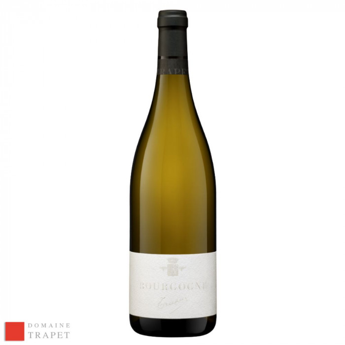 Domaine Trapet Bourgogne blanc sec 2020