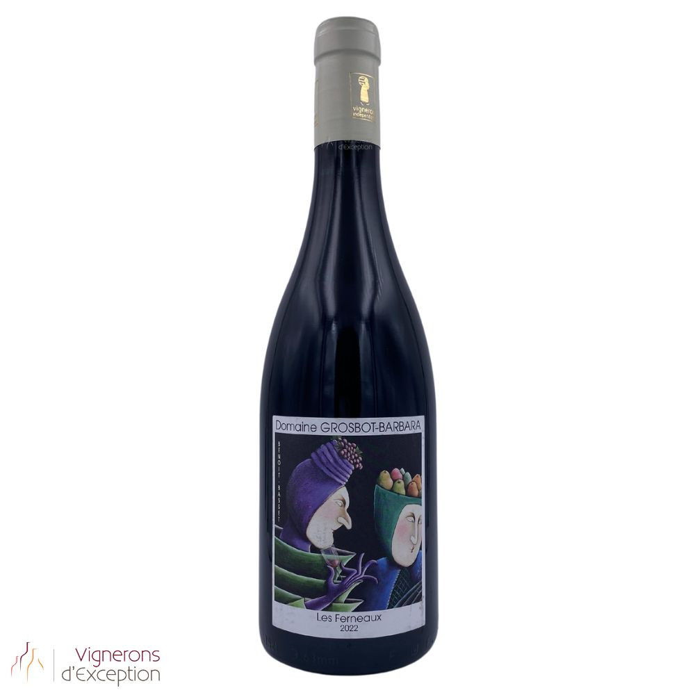 Domaine Grosbot-Barbara Saint-Pourçain "Les Ferneaux" rouge 2022 bouteille