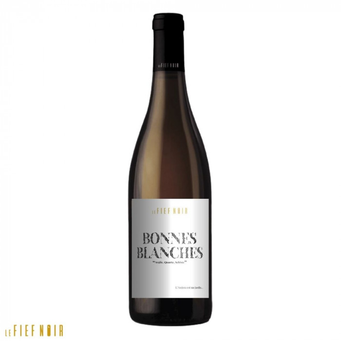 Le Fief Noir Anjou "Bonnes Blanches" (chenin) blanc sec 2021 bouteille