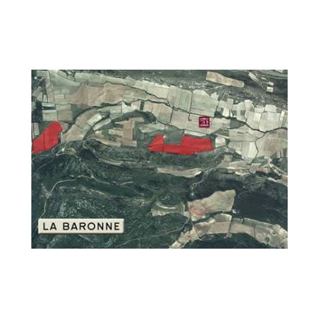 Château La Baronne "Alaric" 2017 parcelle