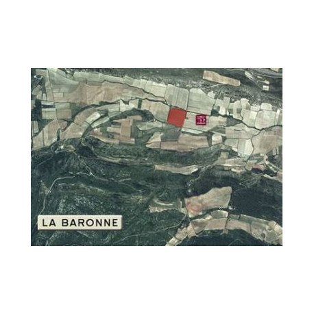 Château La Baronne Chemins 2018