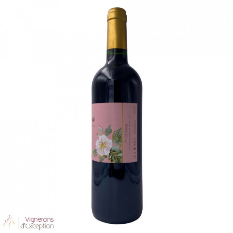 Domaine Peyre Rose Languedoc 