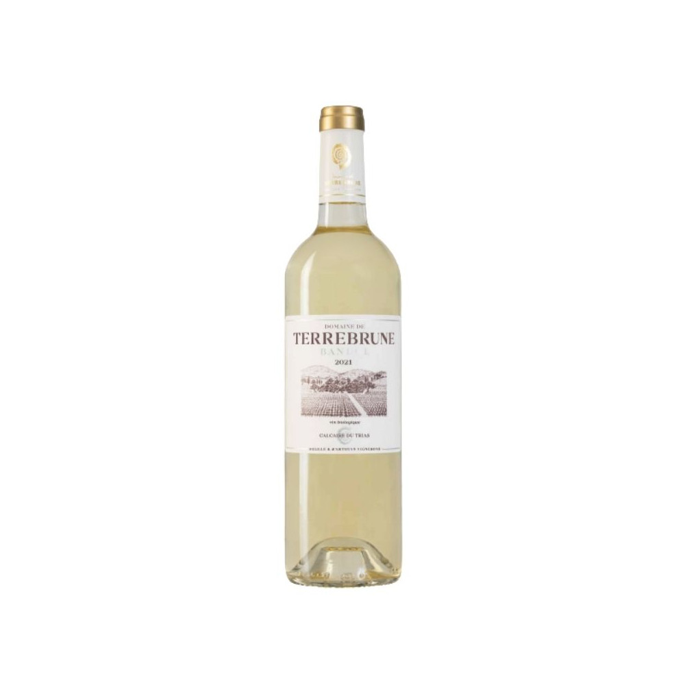Domaine de Terrebrune blanc sec 2021 bouteille