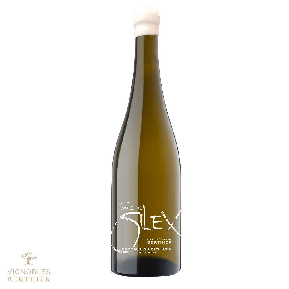 Domaine Berthier Coteaux du Giennois "Terre de Silex" dry white 2021 Domaine Berthier Coteaux du Giennois "Terre de Silex" dry white 2021