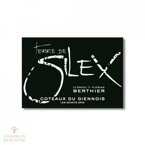 Domaine Berthier Coteaux du Giennois "Terre de Silex" blanc sec 2021 2
