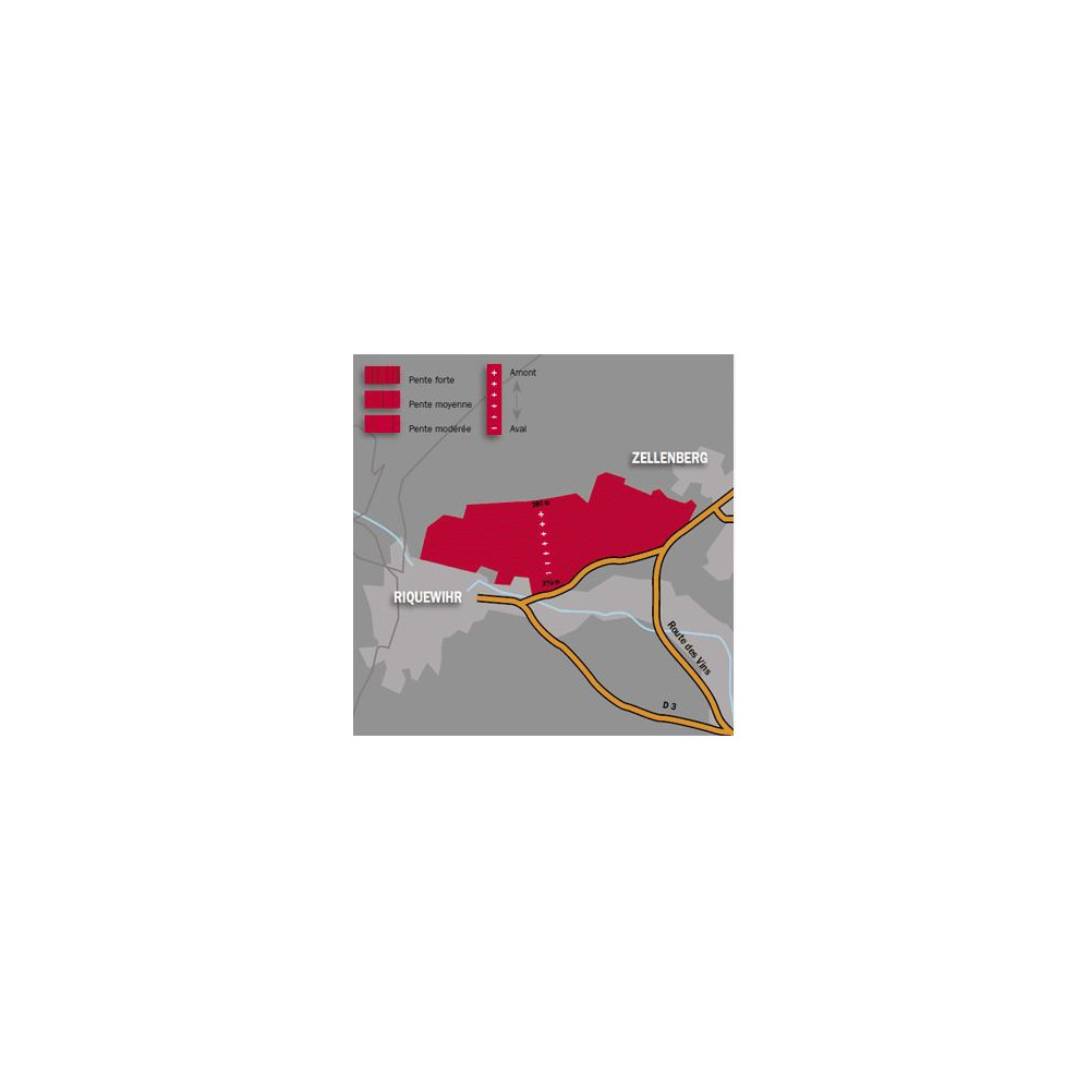 Domaine Trapet Riesling Grand Cru "Schoenenbourg" dry white 2014