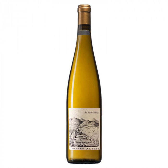 Domaine Trapet Riesling Grand Cru "Schoenenbourg" blanc sec 2014 bouteille