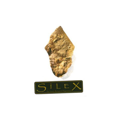 Domaine Didier Dagueneau "Silex" dry white 2020