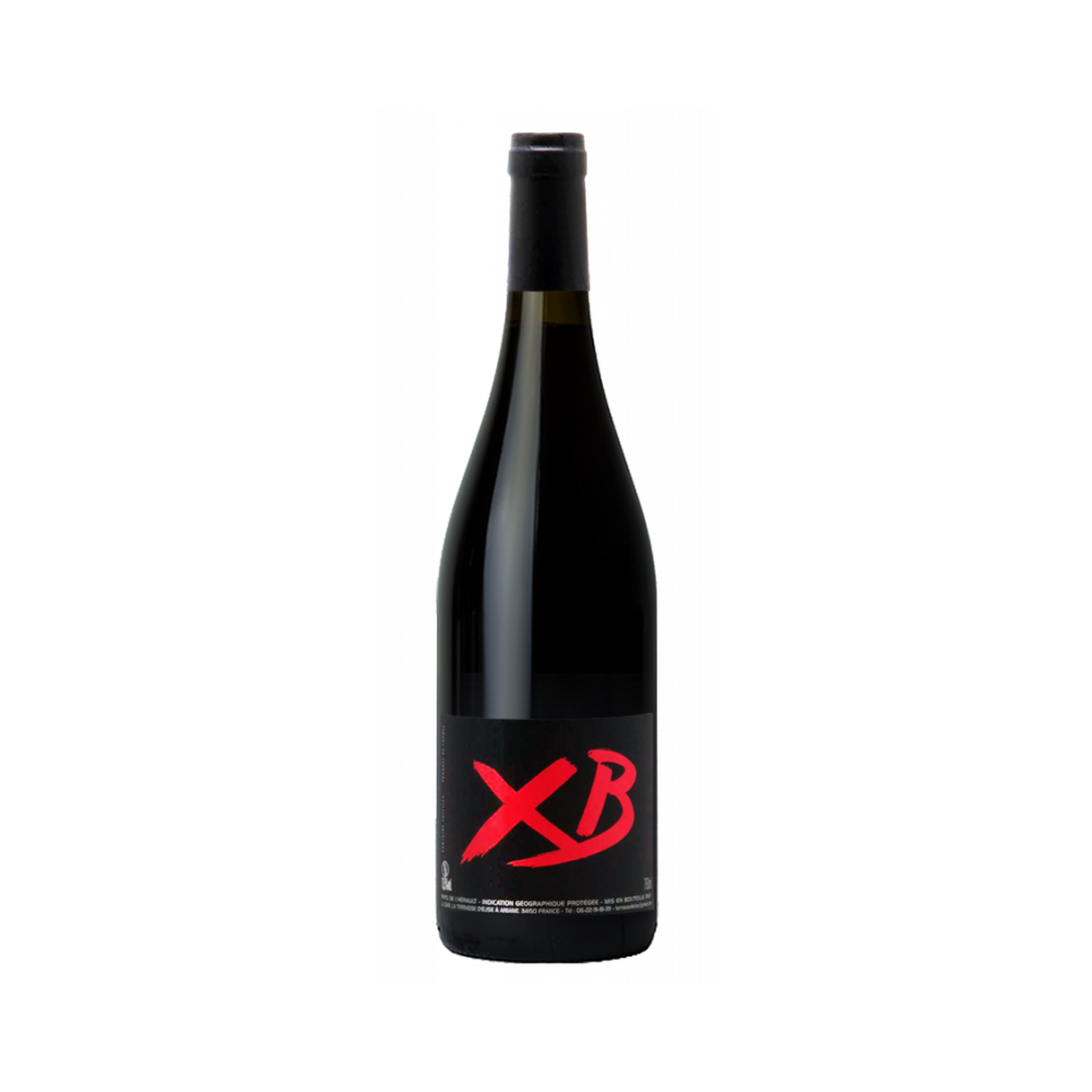 Domaine de la Terrasse d'Elise "XB" rouge 2022 bouteille Domaine de la Terrasse d'Elise "XB" rouge 2022 bouteille