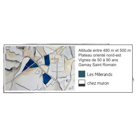 Domaine Sérol Côte Roannaise "Millerands" rouge 2021