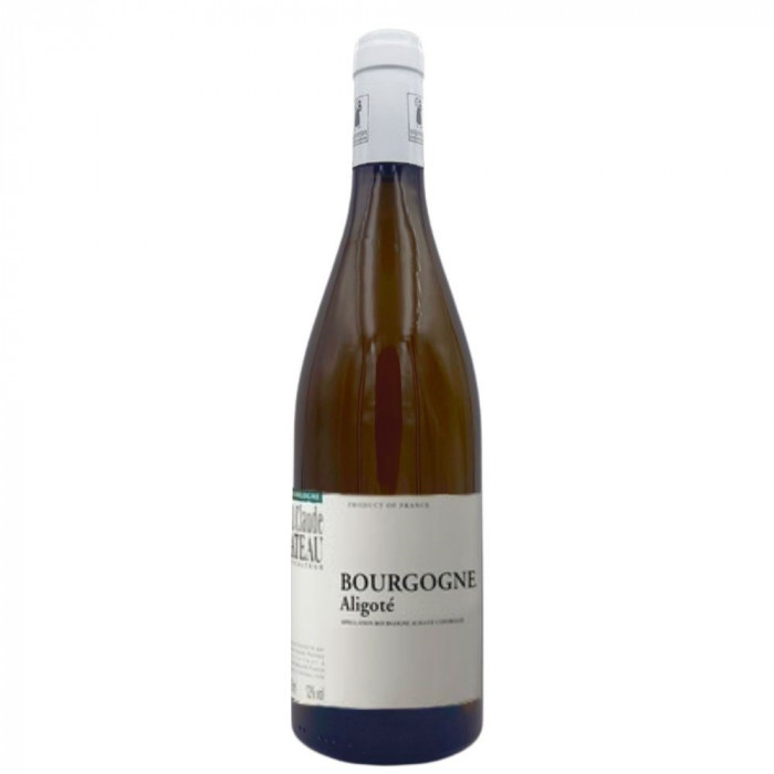 Vin blanc sec : Bourgogne